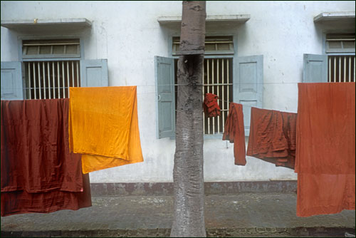 Monk's robes, Amaratura